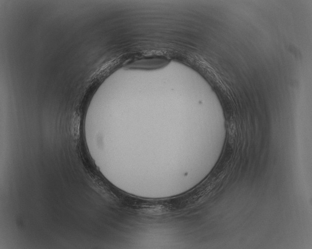 X0000116370454200912291713