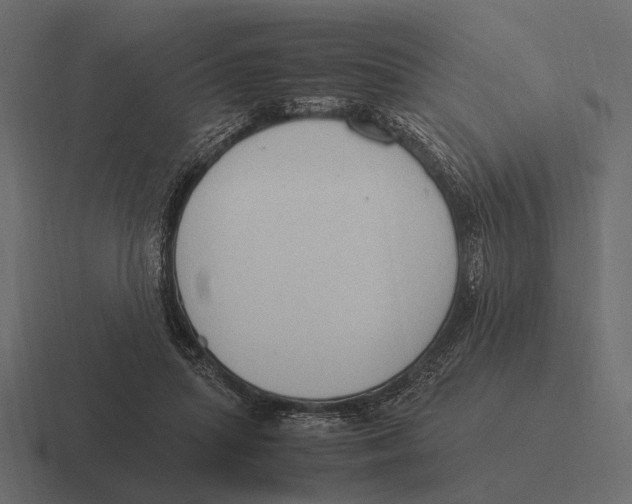 X0000116370455200912291713