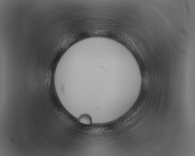 X0000116370458200912291714