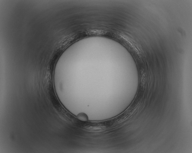 X0000116370459200912291714