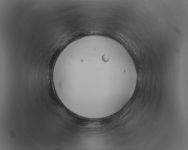 X0000116370462200912291714