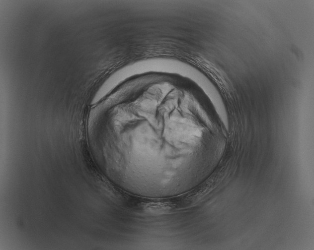 X0000116370465200912291714