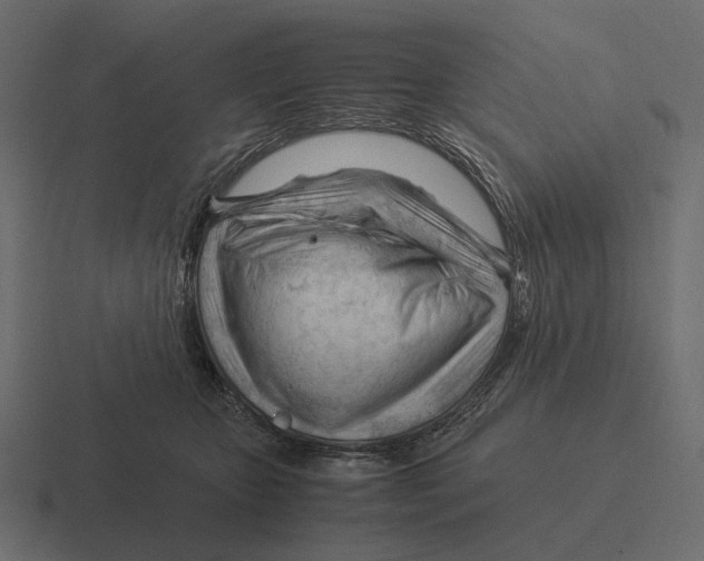 X0000116370467200912291714