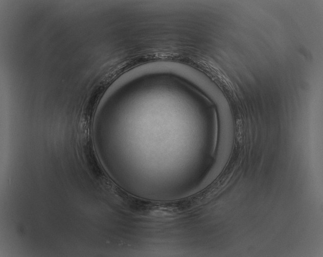 X0000116370471200912291714