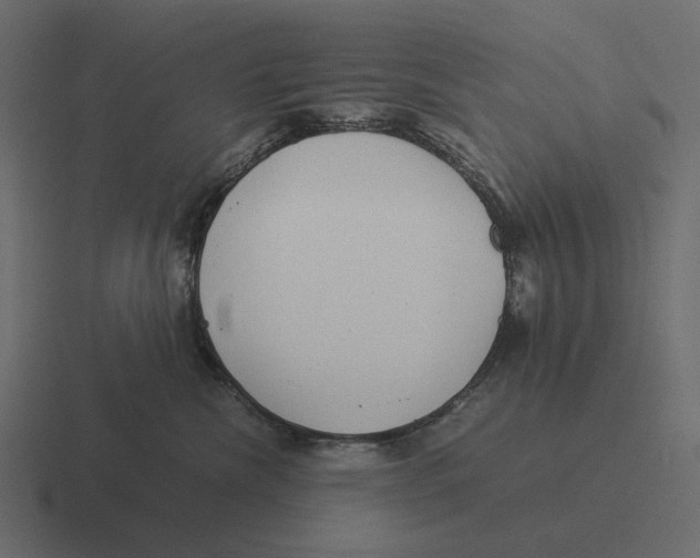 X0000116370476200912291714