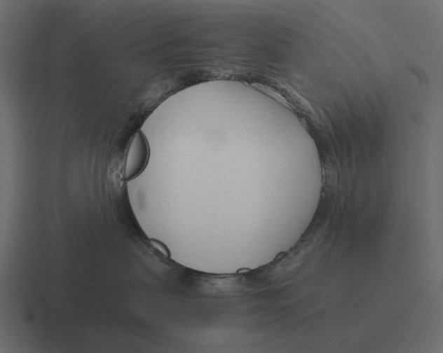 X0000116370479200912291714