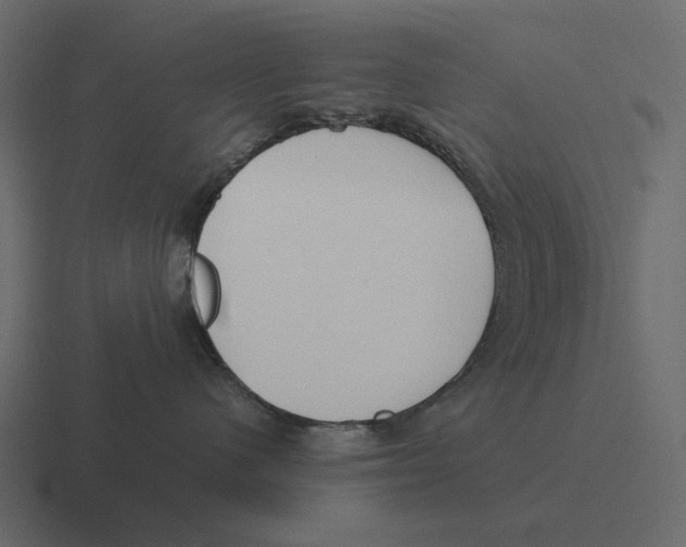 X0000116370480200912291714