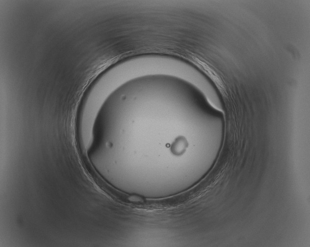 X0000116370485200912291713