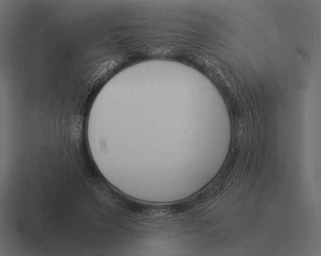 X0000116370495200912291713