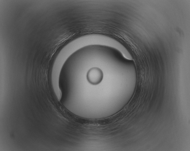 X0000116370500200912291713