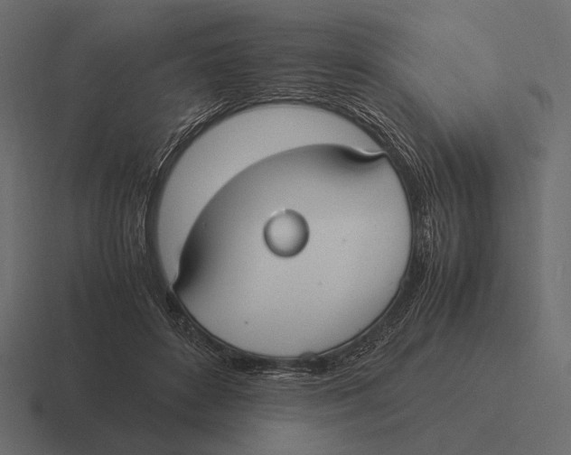 X0000116370504200912291713