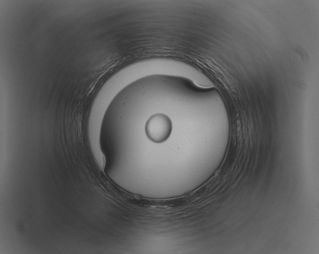 X0000116370508200912291713