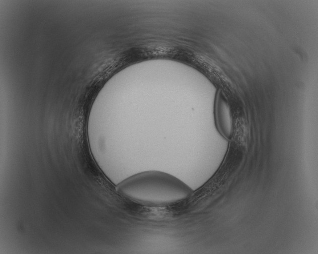 X0000116370509200912291713