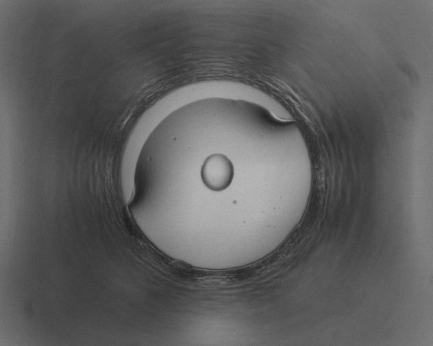 X0000116370516200912291713