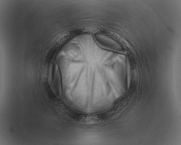 X0000116370517200912291713