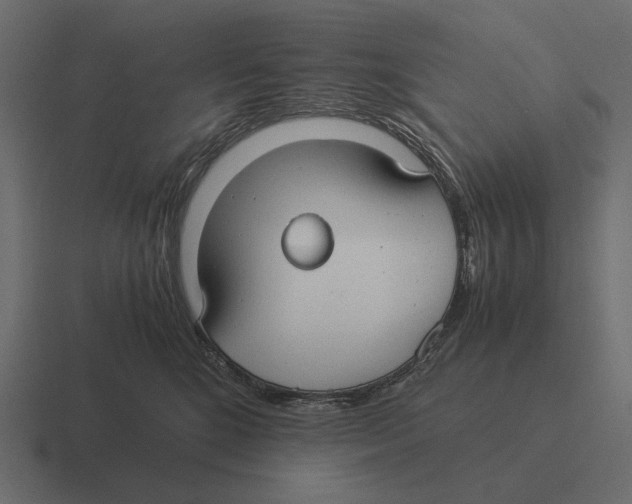 X0000116370520200912291713