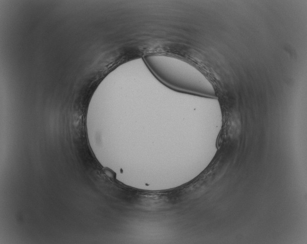 X0000116370521200912291713