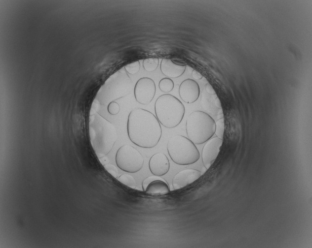 X0000116370523200912291713