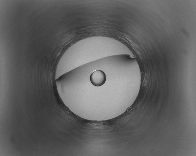 X0000116370524200912291713