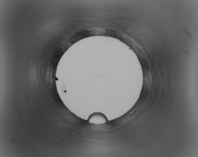 X0000116370525200912291713