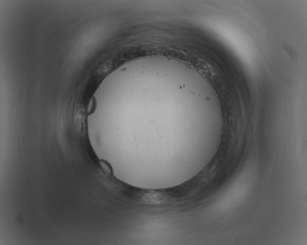 X0000116370527200912291713