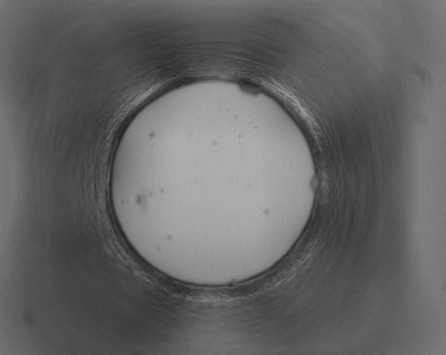 X0000116370529200912291712