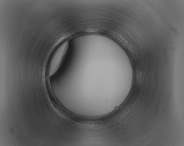 X0000116370530200912291712