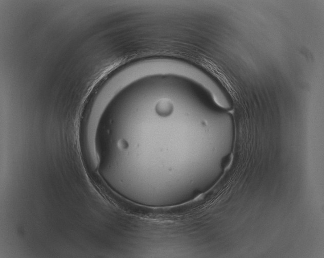 X0000116370534200912291712