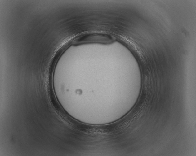 X0000116370535200912291712