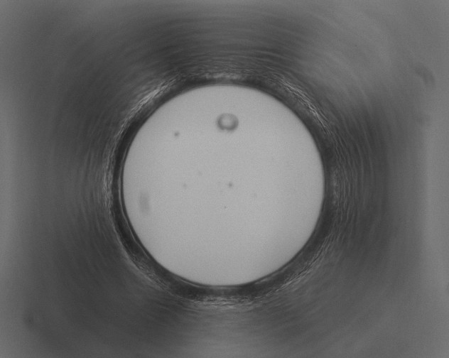 X0000116370538200912291712