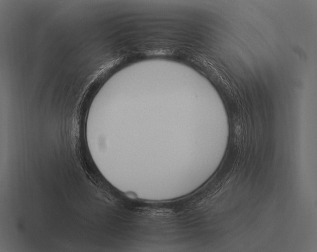 X0000116370539200912291712