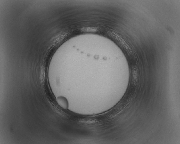 X0000116370541200912291712