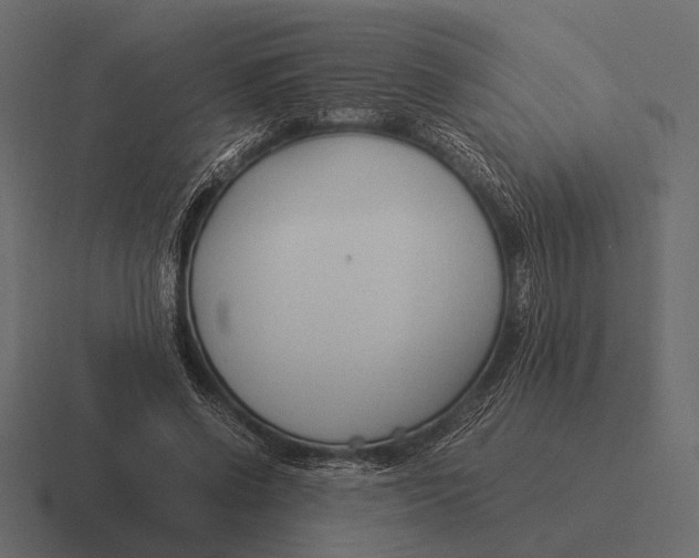 X0000116370542200912291712