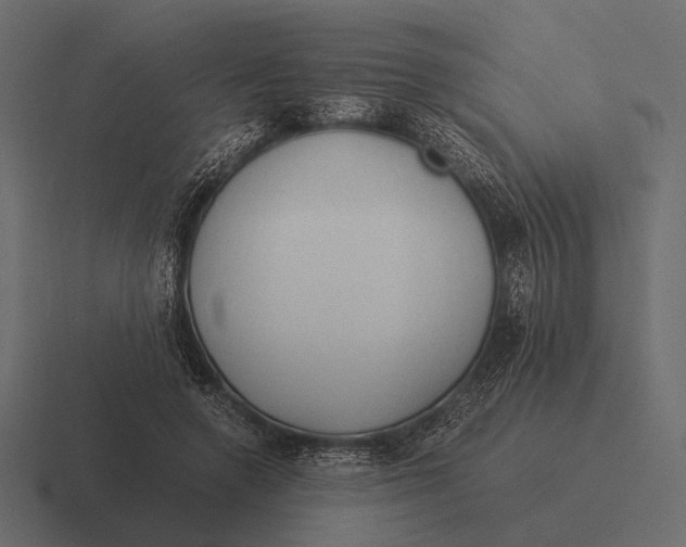 X0000116370546200912291712