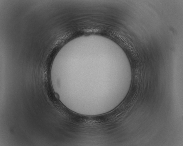 X0000116370547200912291712