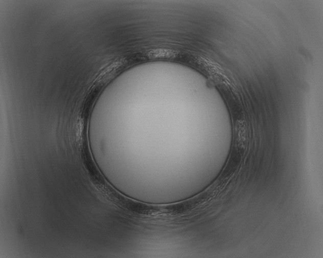 X0000116370550200912291712