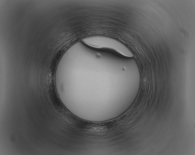 X0000116370555200912291712