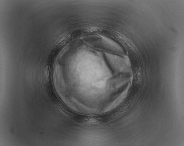 X0000116370558200912291712