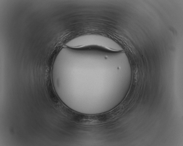 X0000116370559200912291712