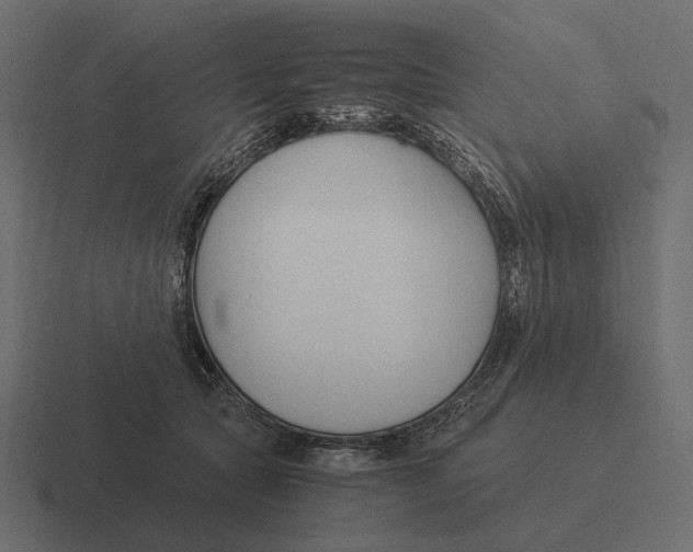 X0000116370561200912291712