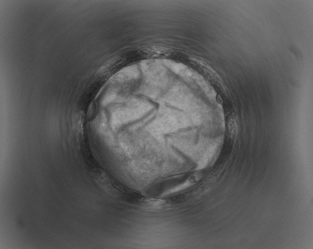 X0000116370570200912291713