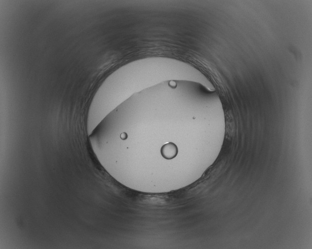 X0000116370573200912291713