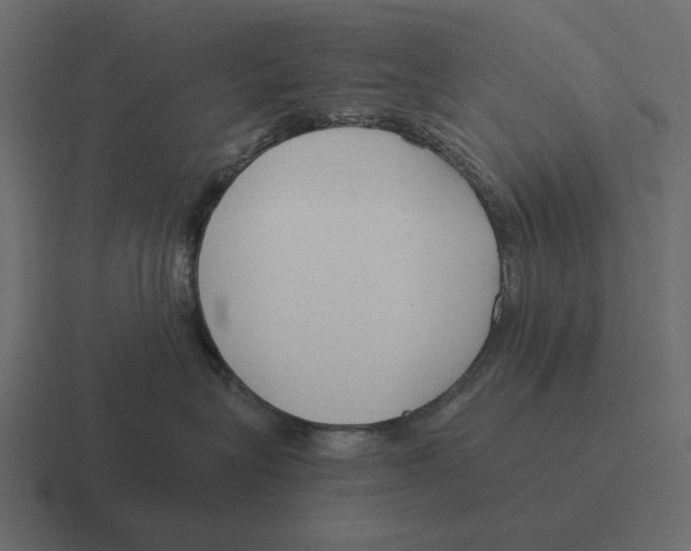 X0000116370575200912291713