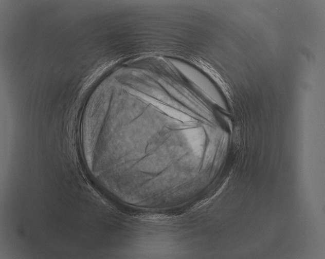 X0000116370577200912291712