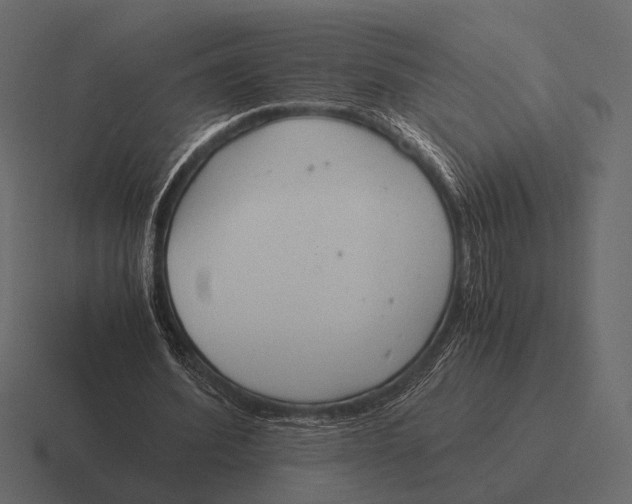 X0000116370580200912291712