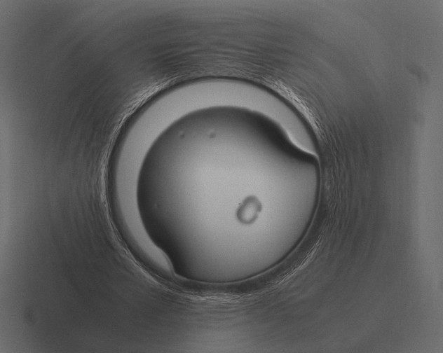 X0000116370581200912291712