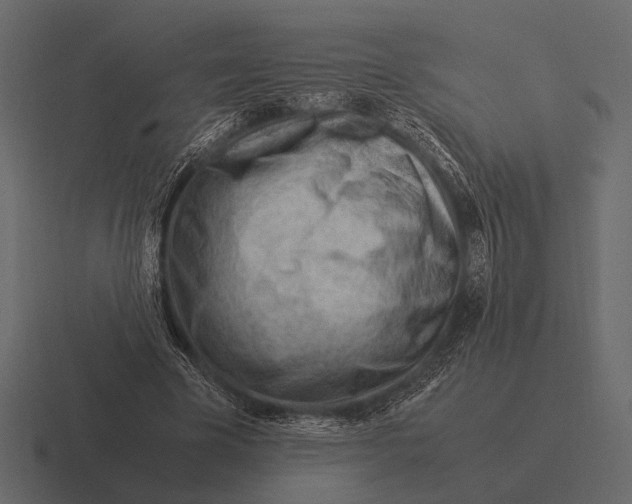 X0000116370585200912291712