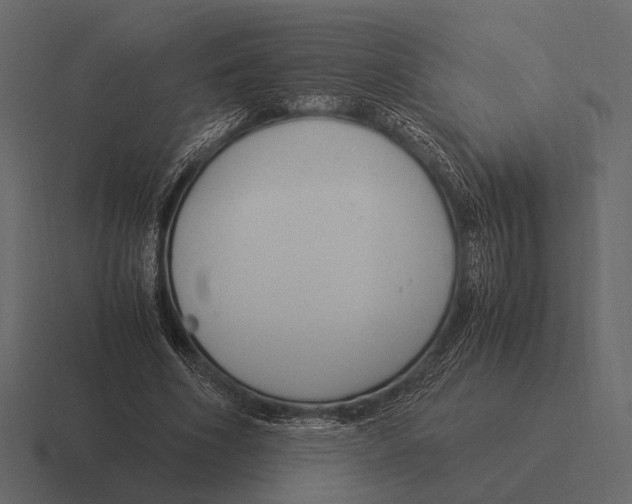 X0000116370586200912291712