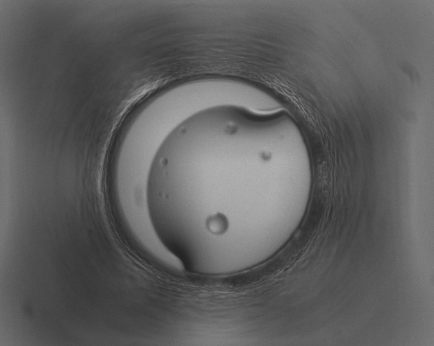 X0000116370587200912291712