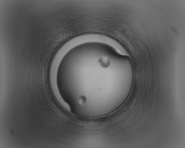 X0000116370593200912291712